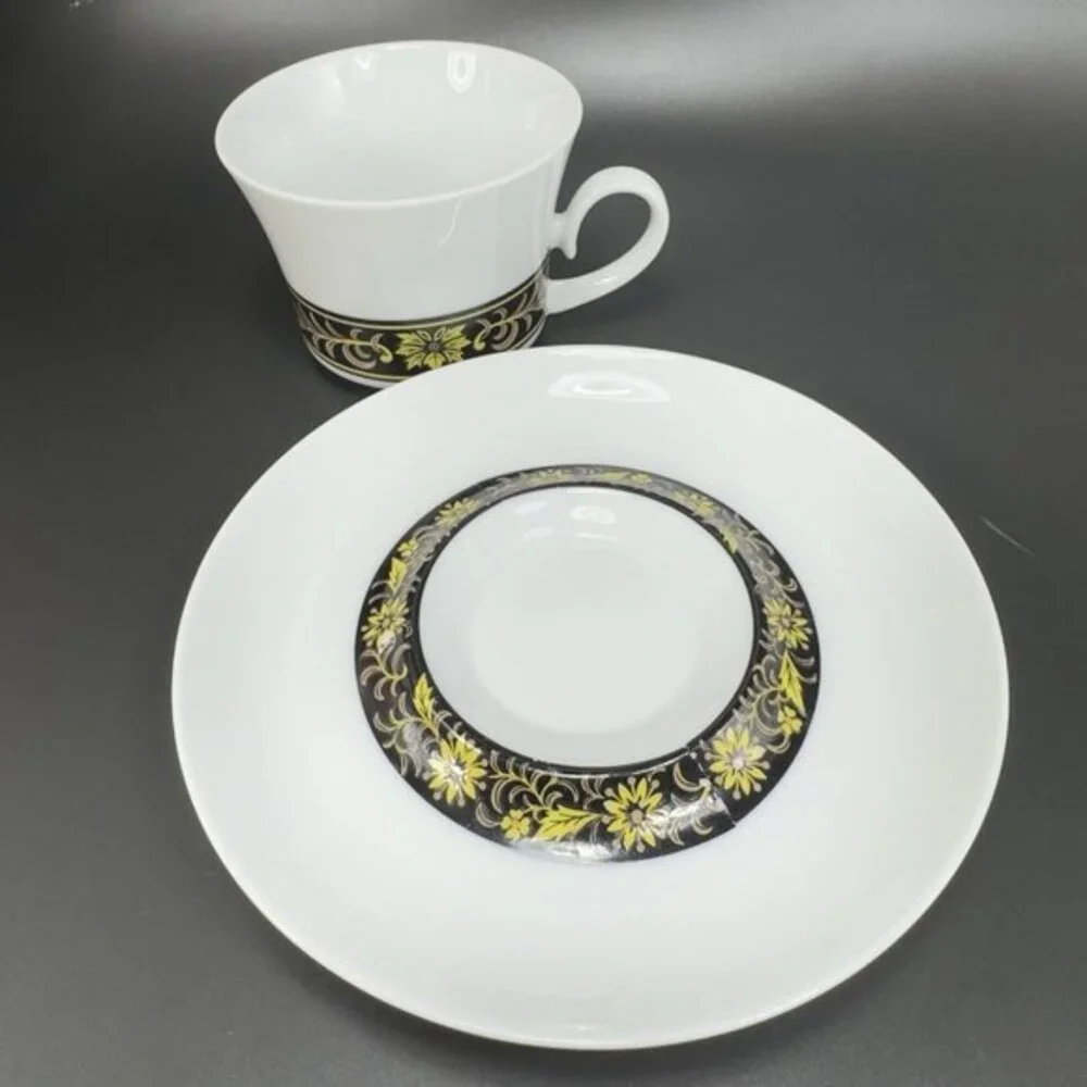 Taihei China Fine Bone China Porcelain Teacup‎ Saucer Set Cup Plate Hacienda VTG